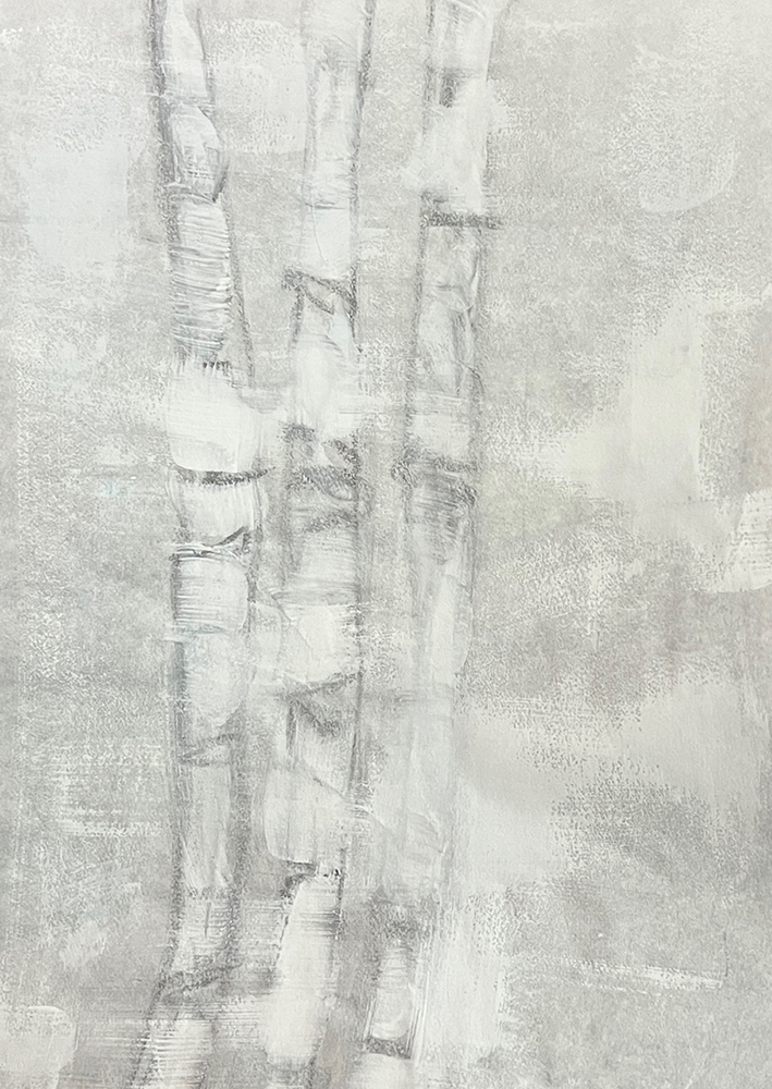 Birch Series 2-2, 18x12