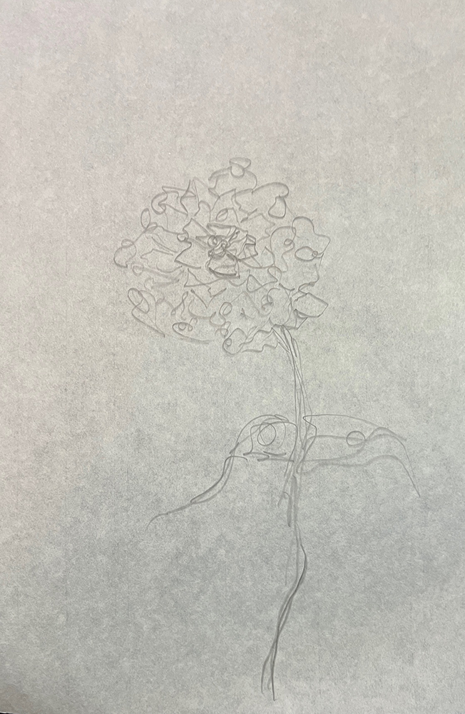 Peony 5, 18x12