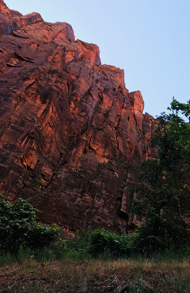 Zion 1