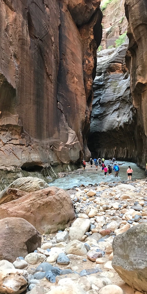 Zion Narrows 3